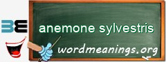 WordMeaning blackboard for anemone sylvestris